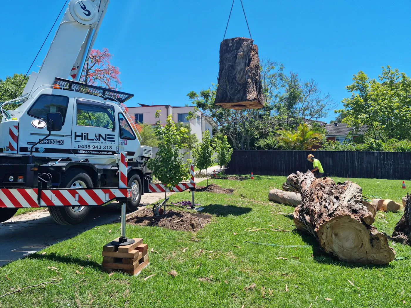 Tree removal (sample photo)