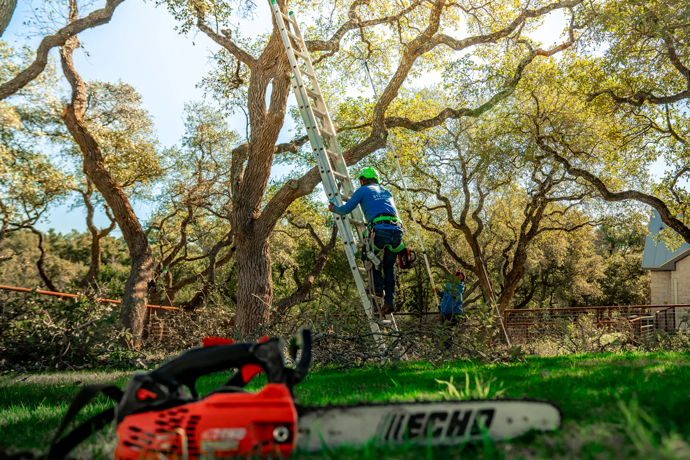 Limb removal near the house (sample photo)