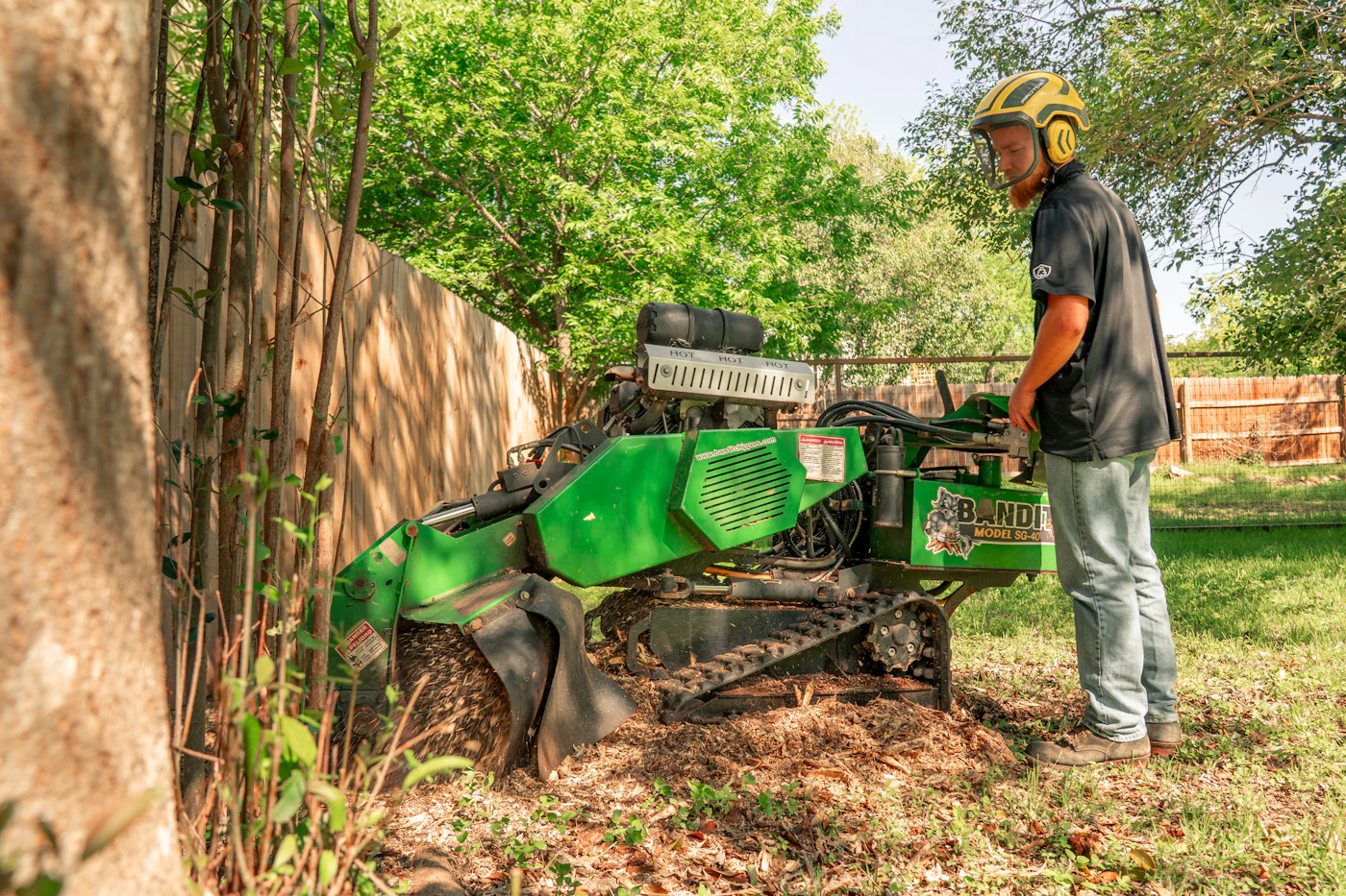 Stump grinding (sample photo)